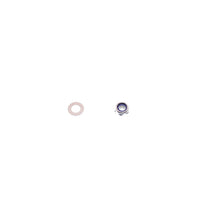 Load image into Gallery viewer, Photo - Unmounted